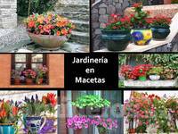 Jardineria en macetas