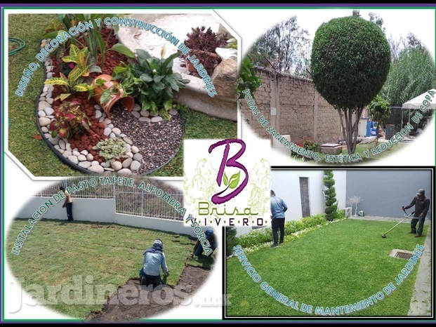 SERVICIOS