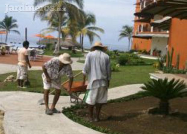 Creación de jardinera