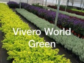 Vivero World Green