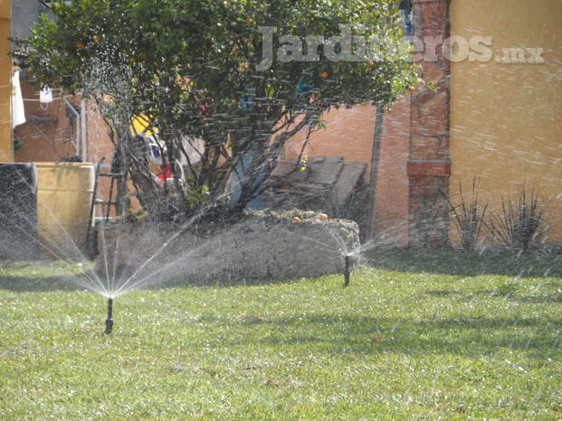 Jardinería