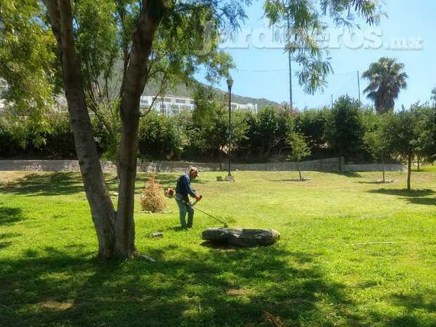 Mantenimiento de áreas verdes 