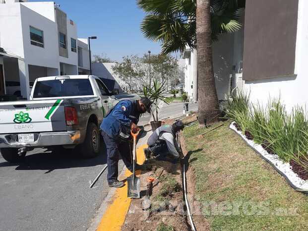 Instalación sistema de riego 