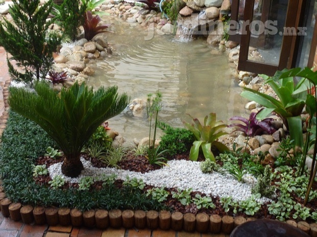 Jardín estanque 