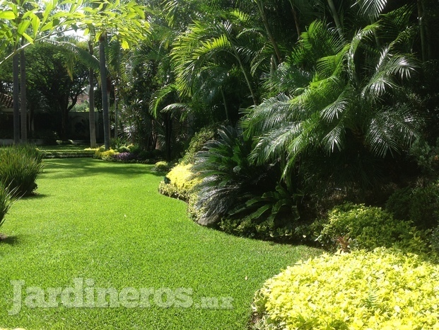 Jardines