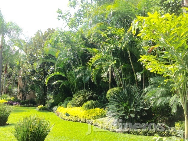 Jardín tropical