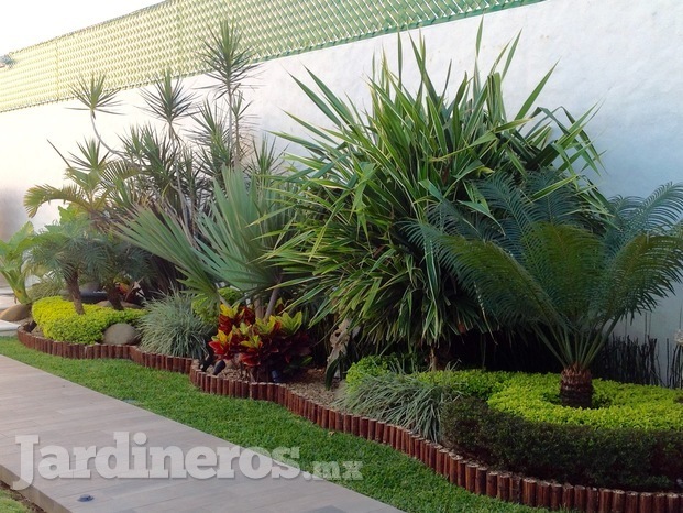 Jardín tropical