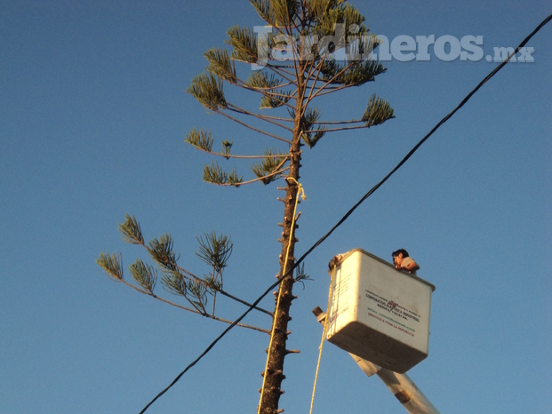 Derribo con grua