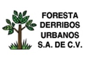 Foresta Derribos Urbanos