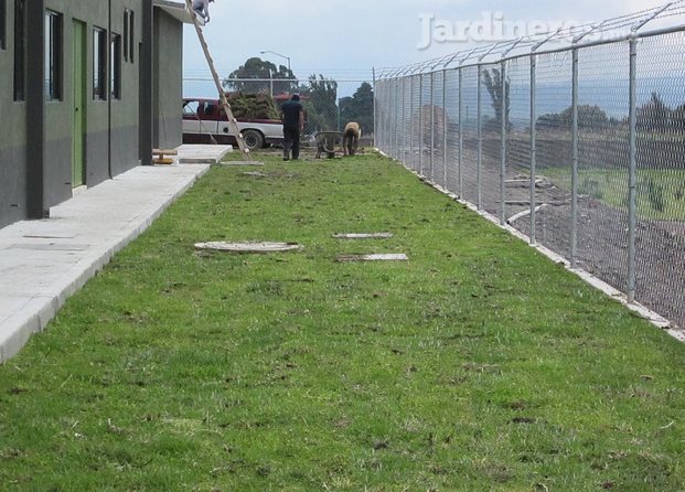 Vivero Mejía Y Jarman