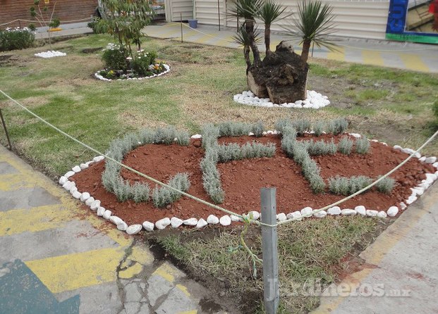 Vivero Mejía Y Jarman