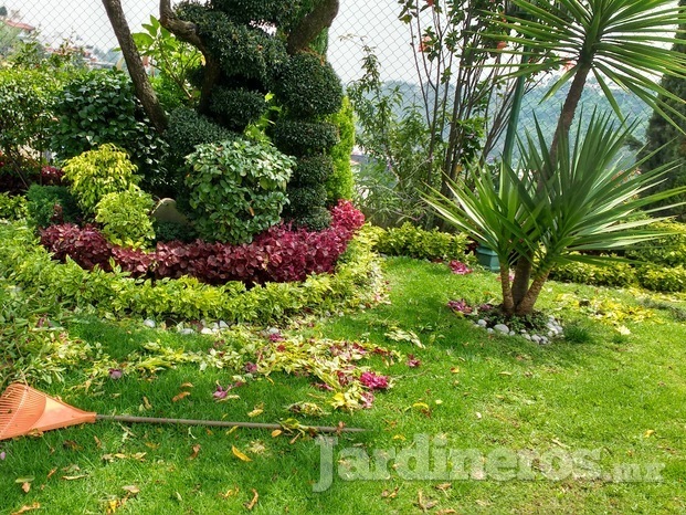 Mantenimiento de jardín