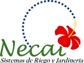 Rebeca I Rojo Soto (NECAI)