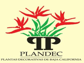 Plandec Plantas Decorativas De Baja California