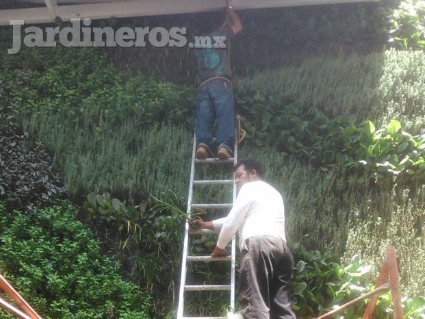 Paisajismo 