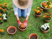 Jardinería y paisajismo asociados Torres