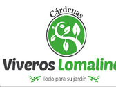 Jardinería loma linda