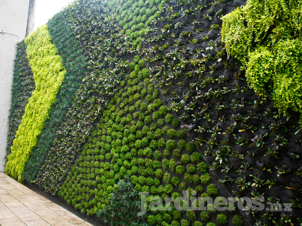 Pared jardín