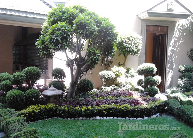 Jardinería Del Bosque