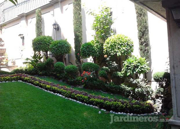 Jardinería Del Bosque