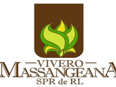 Vivero Massangeana