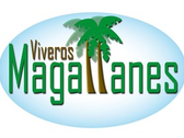 Viveros Magallanes