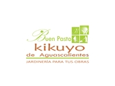 PASTO KIKUYO DE AGUASCALIENTES