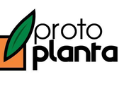 Proto Planta