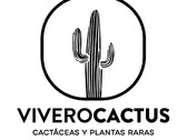 Vivero Cactus