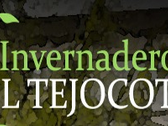 Invernadero El Tejocote