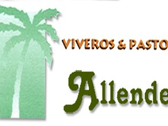 Viveros Y Pastos Allende