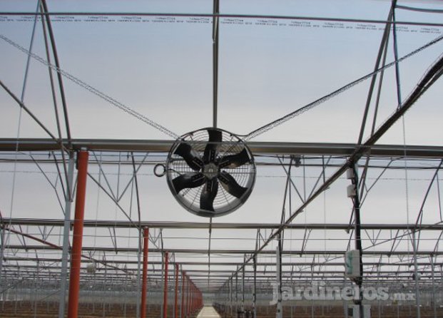 Ventiladores