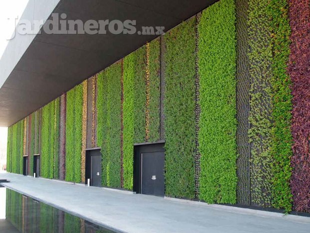 Muro verde