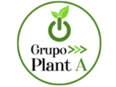 Grupo Plant A