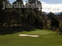 Campos de Golf