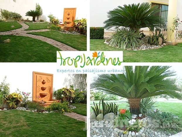 Tropijardines