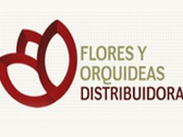 Flores Y Orquídeas Distribuidora