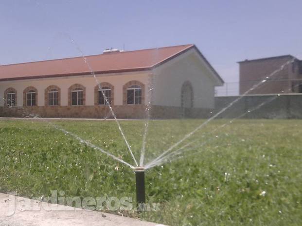 Contribuimos a salvar miles de litros de agua al año