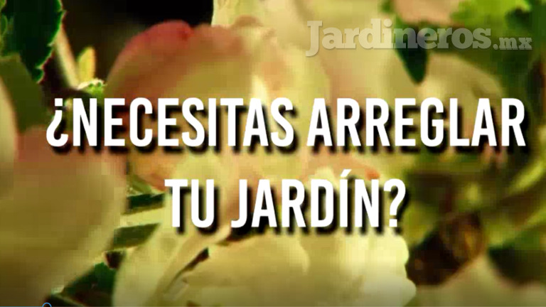 Crea Jardín