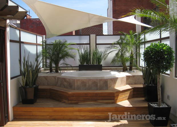 Roof Garden con jacuzzi