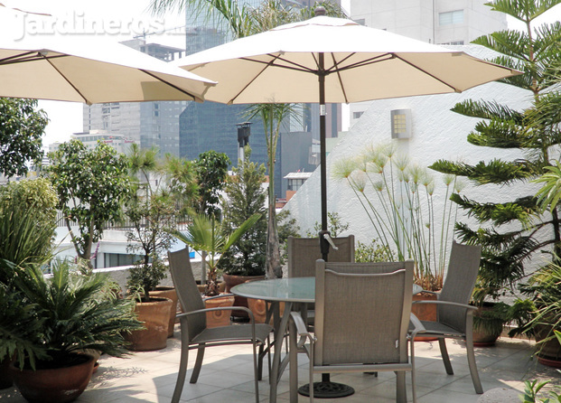 Roof Garden Cuauhtemoc