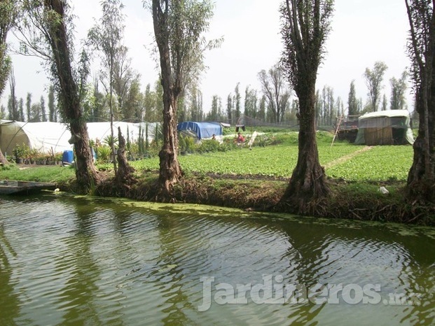 Invernadero Puente de Urrutia Greenhouse 