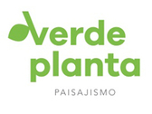 Verde Planta