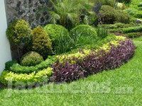 Servicios Integrados de Jardinería