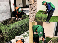 Agricultura Vertical México (Jardinería, riegos y mantenimientos)