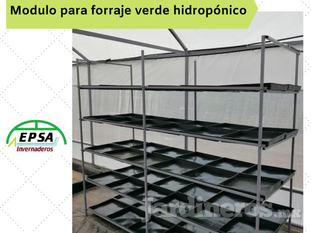 Módulo para forraje verde hidropónico 