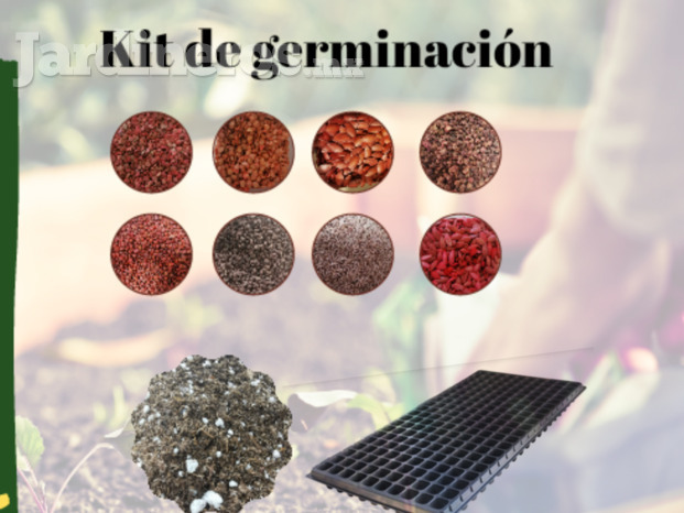 Kit de germinación 