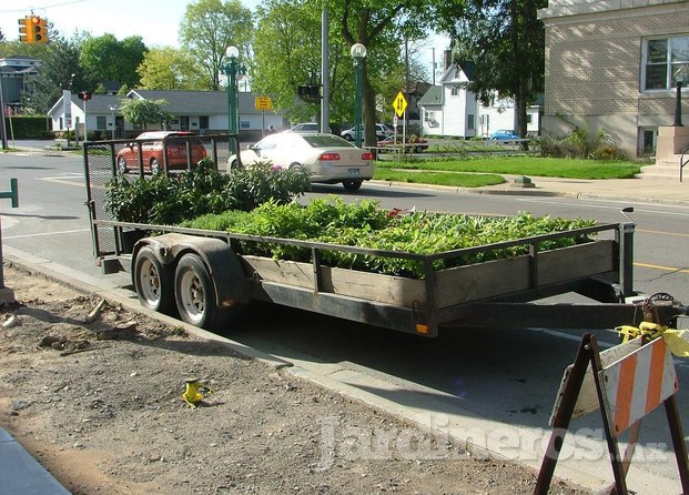 Jr. Jardinería