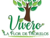 Vivero La Flor De Morelos