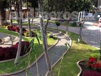 Vivero Todo Plantas